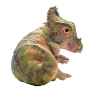 Figurine Dinosaure Sinoceratops